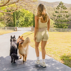 The Attachd Hands-Free Dog Belt