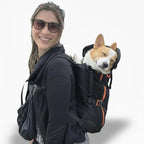 Maxine One Dog Backpack Carrier for Medium Dogs by Little Chonk | Adjustable & Ergonomic Front Facing Dog Carrier Backpack | Built to be Safer | Pet Backpack Carrier Featured in Wired Magazine - Black