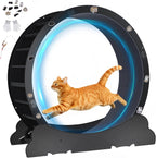 GTPLAYER Cat Wheels, Large Cat Exercise Wheel for Indoor Cats, 40" Diameter cat Treadmill Detachable Carpet & Teaser, Stickers, Ultra-Quiet Scroll Wheel with Latch, Metal, Black Ears-1 Style