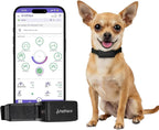 NEW Dog Health Monitor V3.0 by PetPace – AI Smart Collar with 24/7 Vital Signs, Pain & GPS Tracking, Telehealth AskaVet & Share With Your Vet, Smartwatch Sync – Subscription Required (Large)