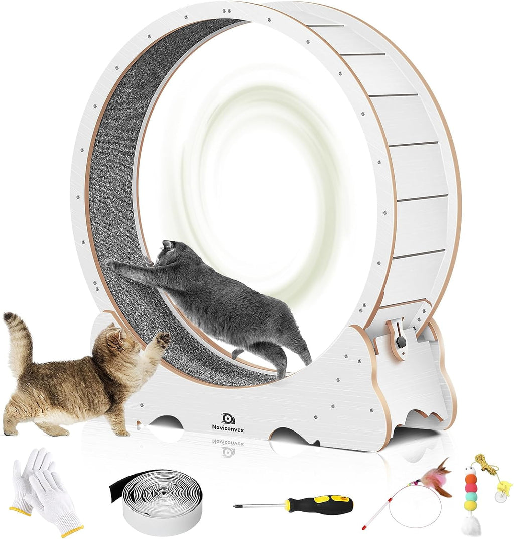 Cat Wheel, 48" XL Large Cat Treadmill for Indoor Pets, Cats Exercise Running Wheel with Detachable Carpet, Quiet and Sturdy, Suitable for Most Cats Running/Walking/Training