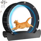 GTPLAYER Cat Wheels, Large Cat Exercise Wheel for Indoor Cats, 40" Diameter cat Treadmill Detachable Carpet & Teaser, Stickers, Ultra-Quiet Scroll Wheel with Latch, Metal, Black Ears-1 Style