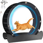 GTPLAYER Cat Wheels, Large Cat Exercise Wheel for Indoor Cats, 40" Diameter cat Treadmill Detachable Carpet & Teaser, Stickers, Ultra-Quiet Scroll Wheel with Latch, Metal, Black Ears-1 Style