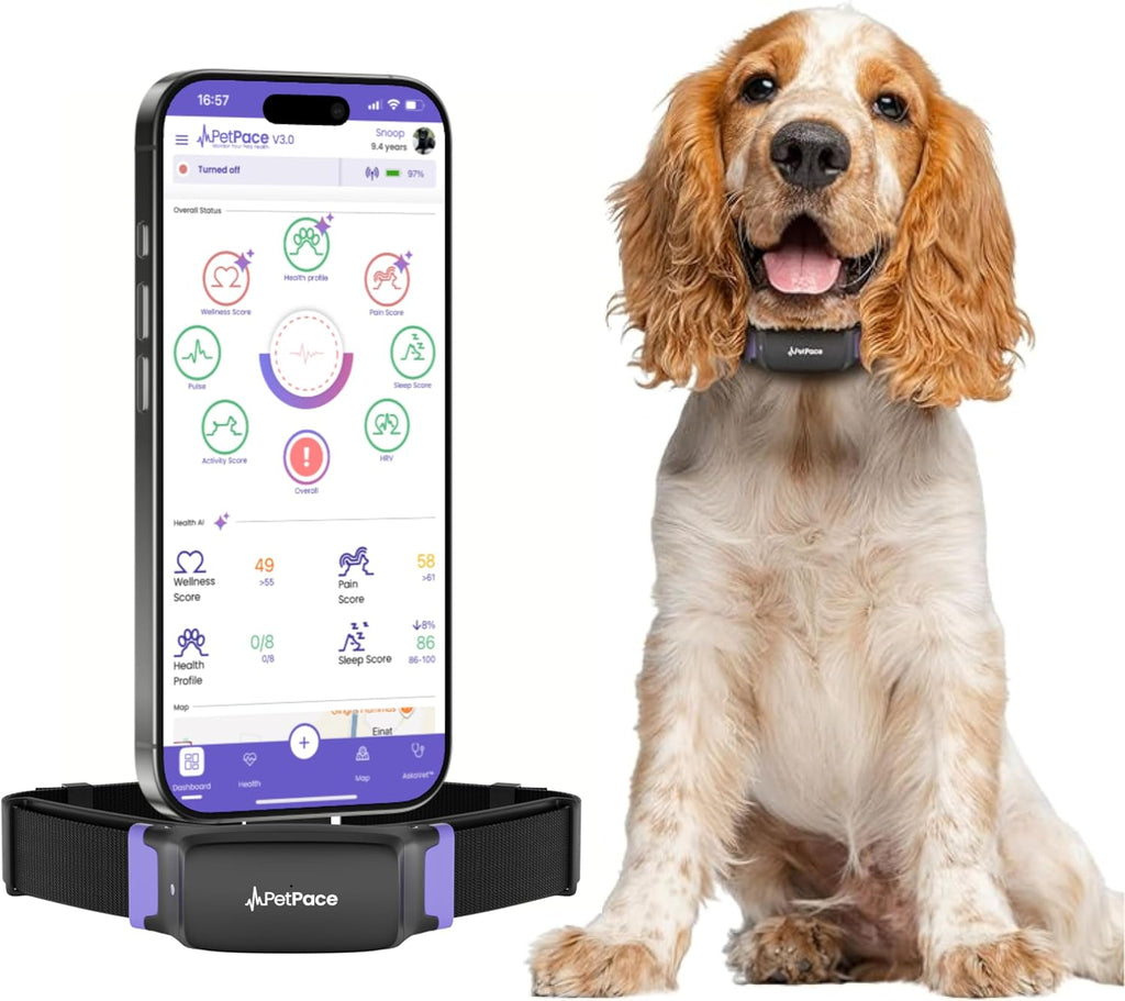 NEW Dog Health Monitor V3.0 by PetPace – AI Smart Collar with 24/7 Vital Signs, Pain & GPS Tracking, Telehealth AskaVet & Share With Your Vet, Smartwatch Sync – Subscription Required (Large)