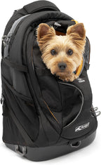 Kurgo G-Train Dog Carrier Backpack - Comfortable Travel Bag for Pets Up to 25 lbs - Waterproof Bottom - Multi-Compartment Pack - Dog Hiking Gear - Rugged Adventure Backpack - Red