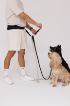 The Attachd Hands-Free Dog Belt