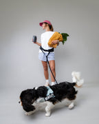 The Attachd Hands-Free Dog Belt