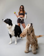 The Attachd Hands-Free Dog Belt